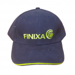 FINP10-